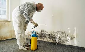 Trusted Lincolnton, NC Mold Removal & Remediation Experts