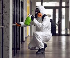 Best Biohazard Mold Removal  in Liolnton, NC